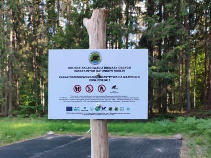 Miejsce składowania biomasy IGO